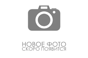 Абсаламова Мадия Набиевна Абсаламова Мадия Набиевна